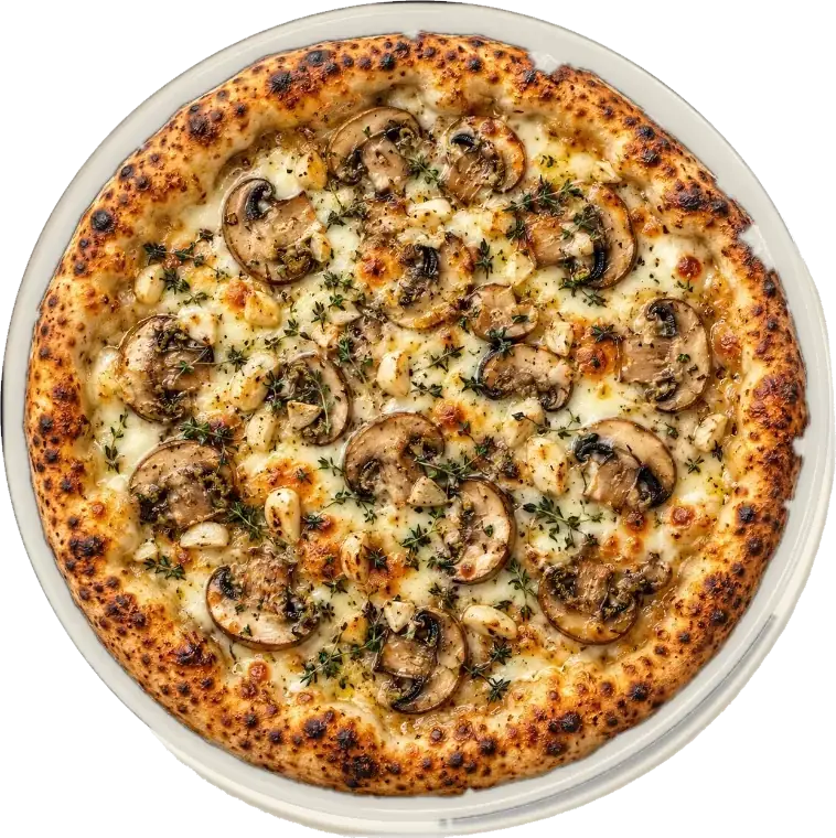 Rustic mushroom pizza with golden cheese