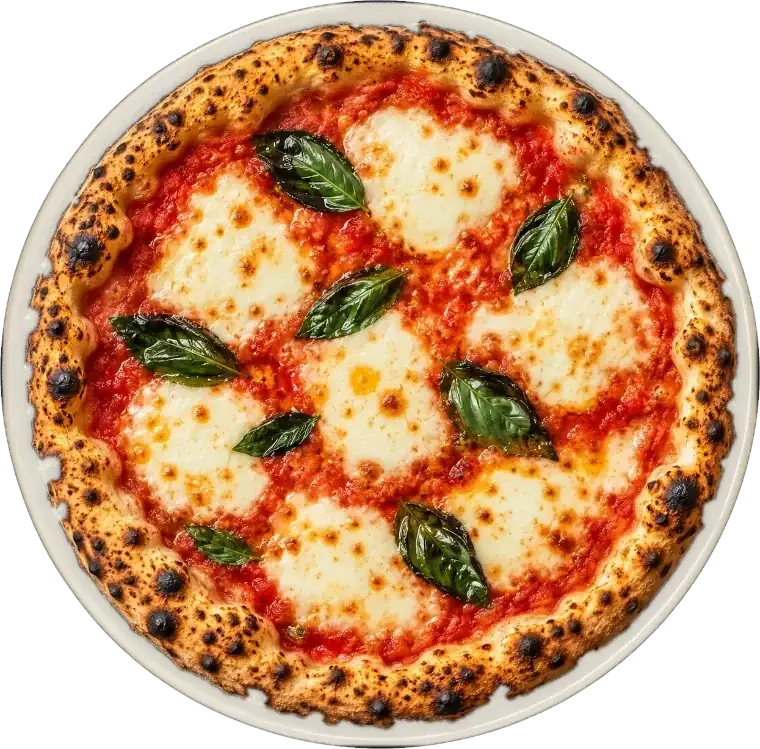 Margherita pizza with tomato, mozzarella and basil
