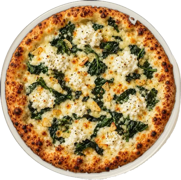 White pizza topped with spinach and cheese